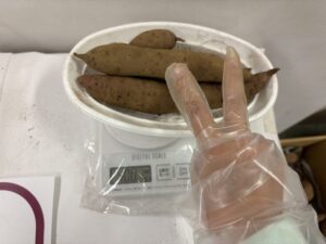 さつまいも400gチャレンジ